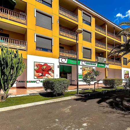 Apartment Los Balandros Penthouse Playa de las Americas (Tenerife)